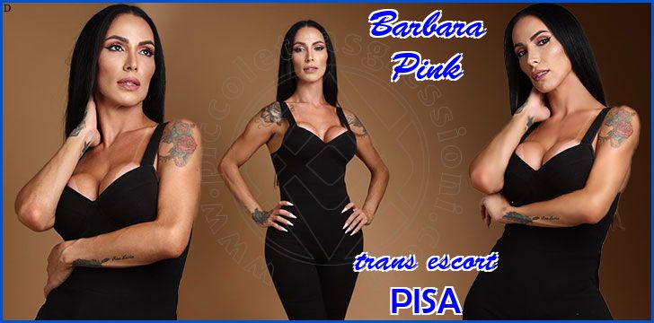 Barbara Pink