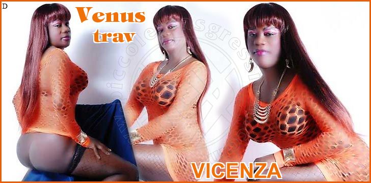 Venus trav a Vicenza