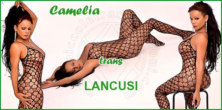 Camelia