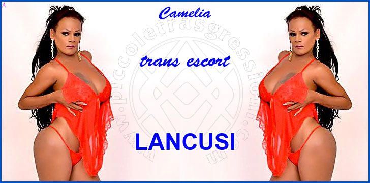 Camelia