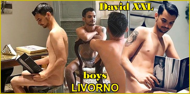 David XXL boys a Livorno