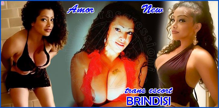 Amor            New
