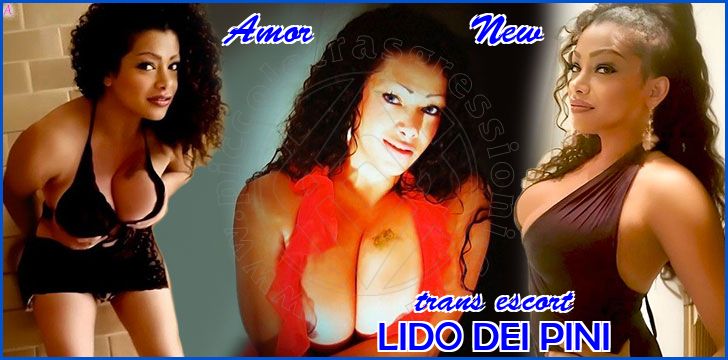 Amor            New