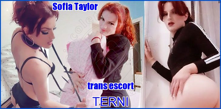 Sofia Taylor