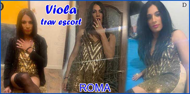 Viola