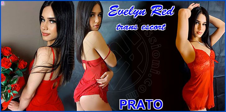 Evelyn Red trans escort a Prato