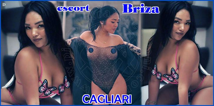 Briza