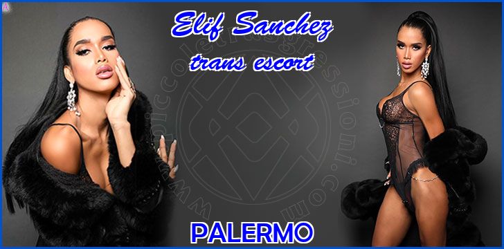 Elif Sanchez