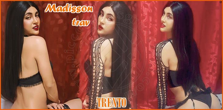 Madisson trav a Trento
