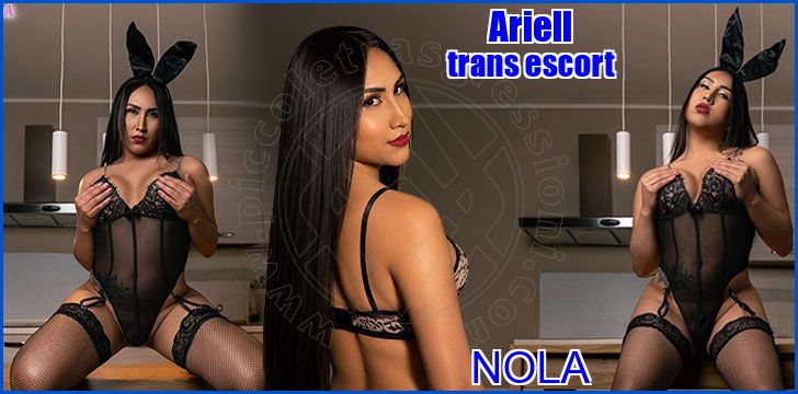 Ariell trans escort a Nola
