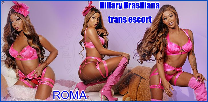 Hillary Brasiliana
