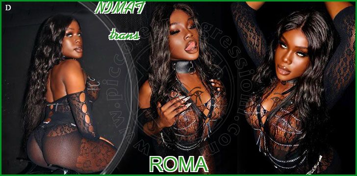 NIMAT trans a Roma