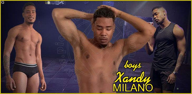 Xandy