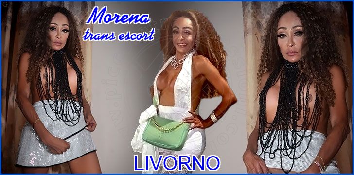 Morena trans escort a Livorno