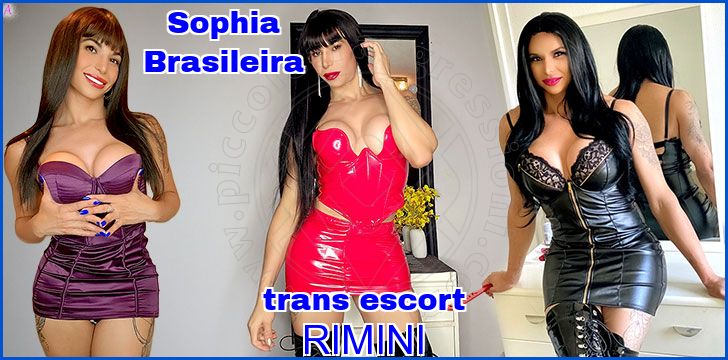 Sophia Brasileira