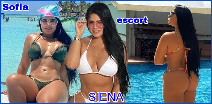 Sofia escort a Siena