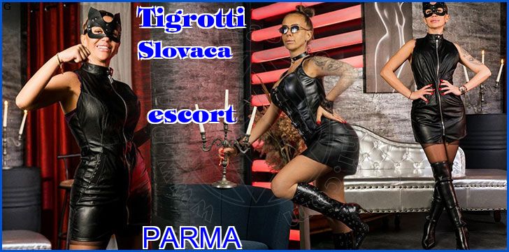 Tigrotti Slovaca escort a Parma