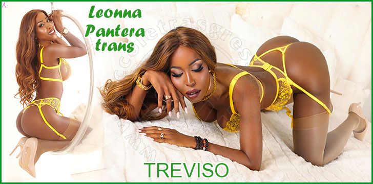 Leonna Pantera trans a Treviso