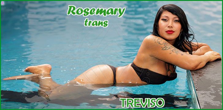 Rosemary trans a Treviso