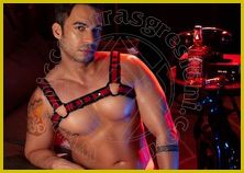 Harry Dotato